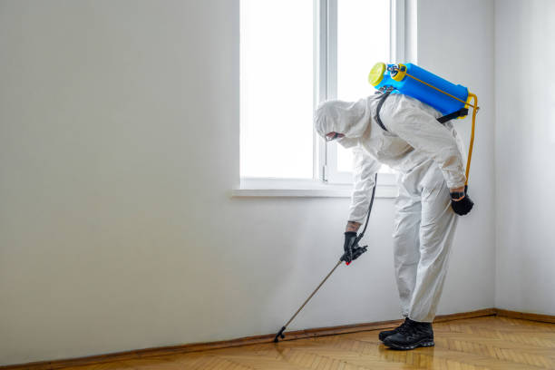 Best Bed Bug Extermination  in Lamont, MI