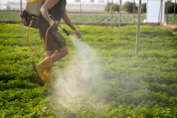 Best Pest Removal Services  in Lamont, MI