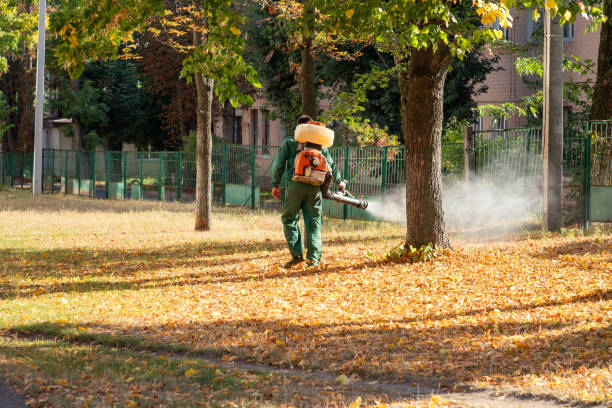 Best Exterminator Services  in Lamont, MI