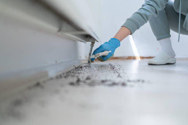 Best Emergency Pest Control  in Lamont, MI