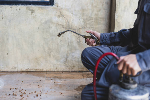 Best Mosquito Control Services  in Lamont, MI